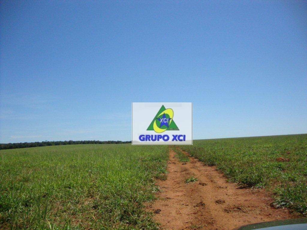 Fazenda-Sítio-Chácara, 13072 hectares - Foto 3