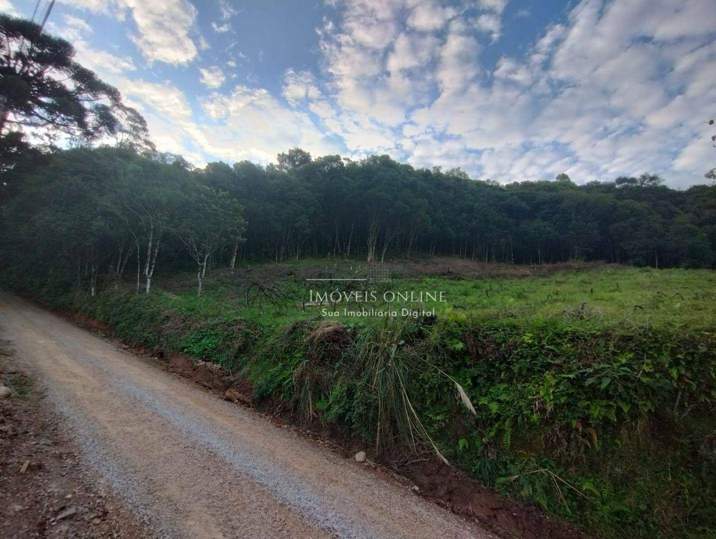 Chácara, 2 hectares - Foto 4