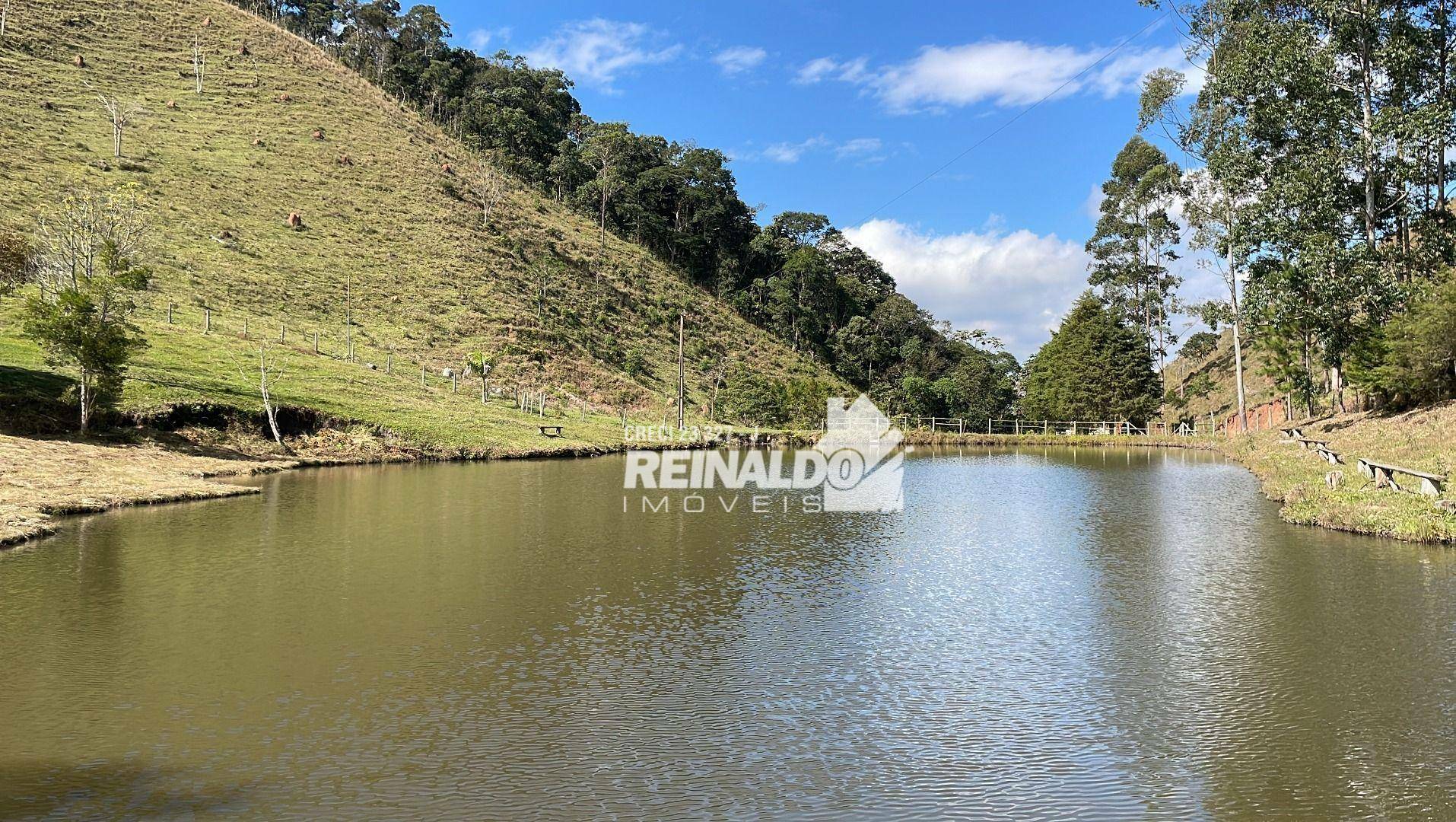 Fazenda à venda com 8 quartos, 900m² - Foto 68