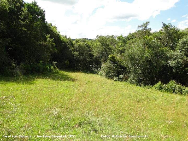 Fazenda à venda com 3 quartos, 160000m² - Foto 13