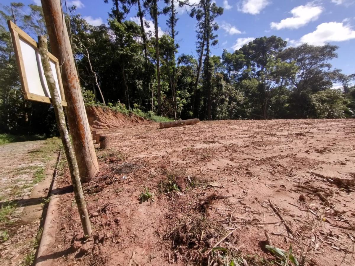 Terreno à venda, 320m² - Foto 6