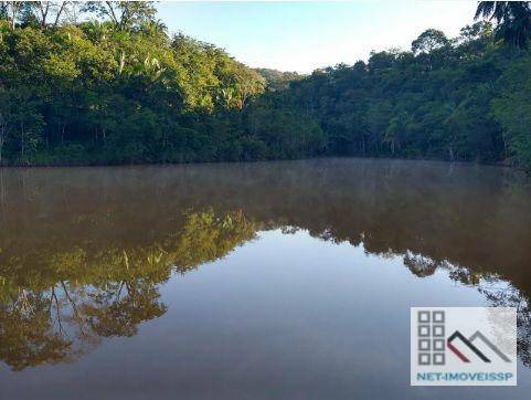 Fazenda à venda com 4 quartos, 500m² - Foto 4