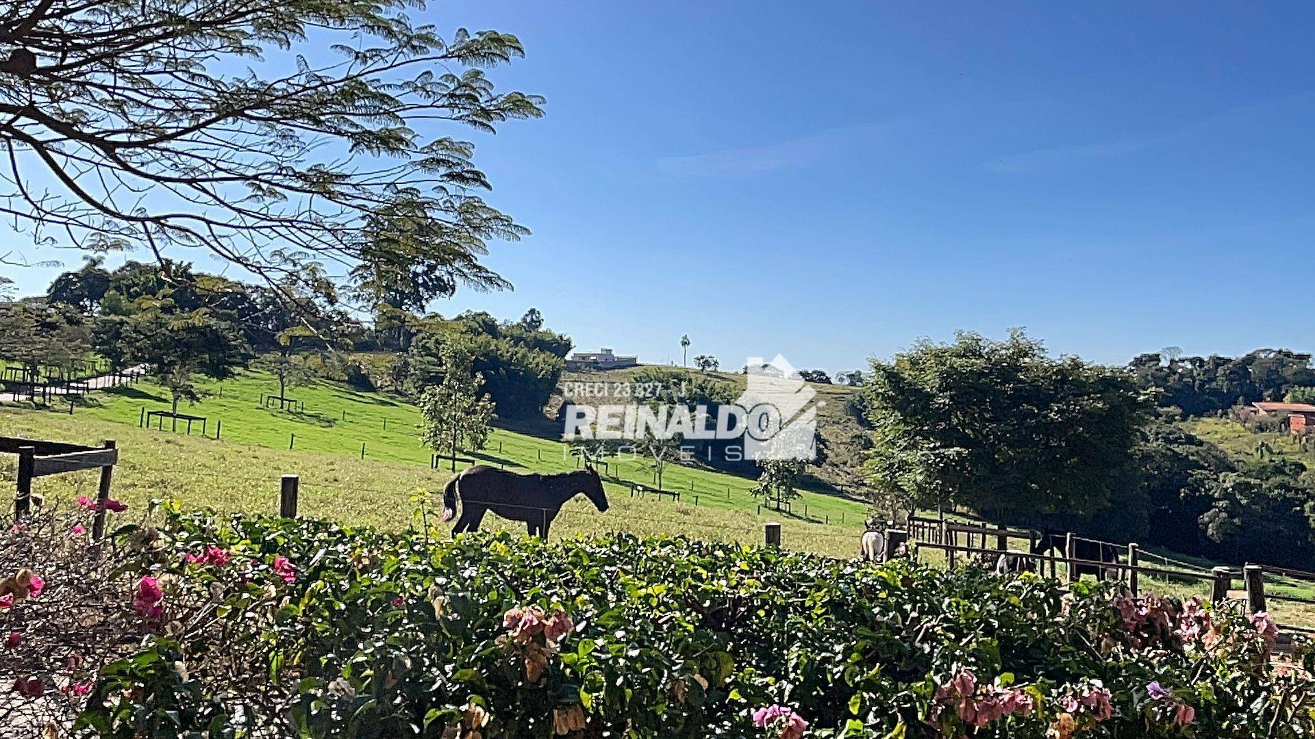 Haras e Área Rural Padrão à venda com 4 quartos, 1050m² - Foto 40