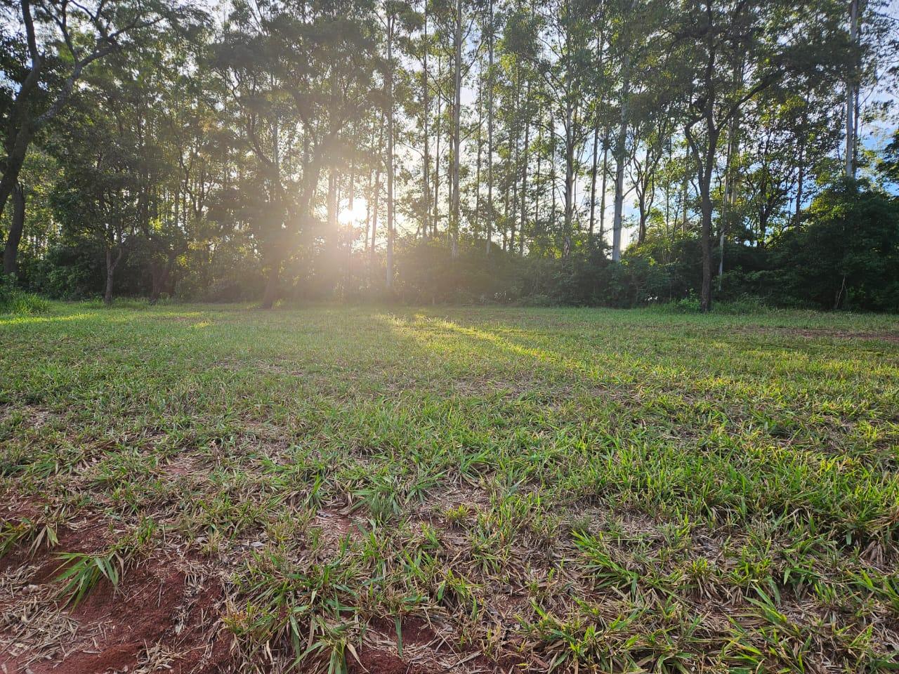 Terreno à venda, 450m² - Foto 1