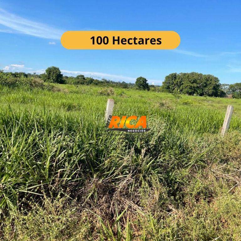 Fazenda, 100 hectares - Foto 1