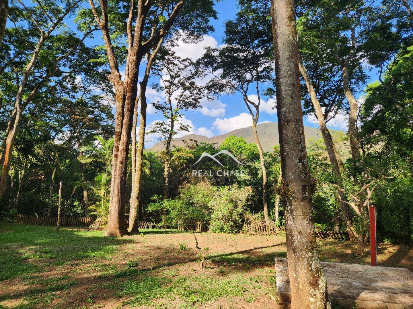 Casa de Condomínio à venda com 3 quartos, 1000M2 - Foto 5