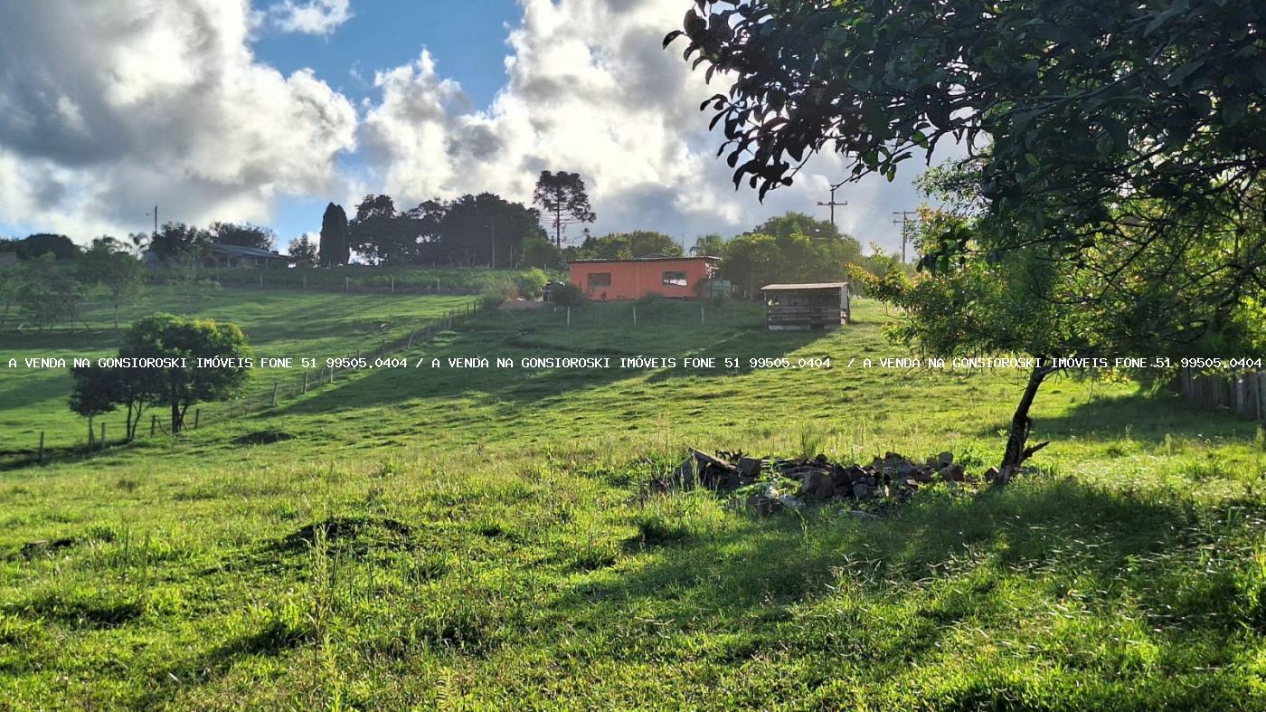 Sítio à venda com 2 quartos, 14500m² - Foto 7