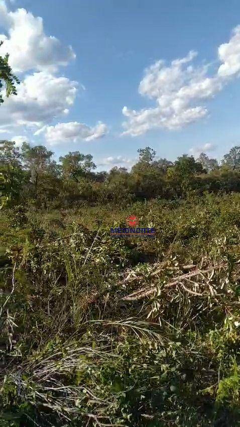 Fazenda à venda com 1 quarto, 17800000M2 - Foto 21