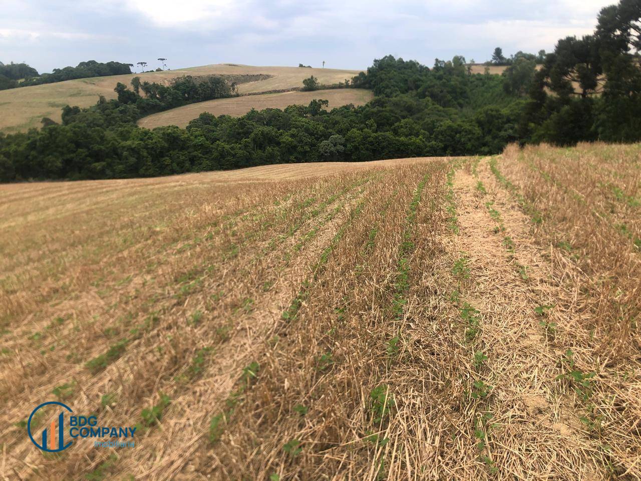 Sítio, 26 hectares - Foto 2