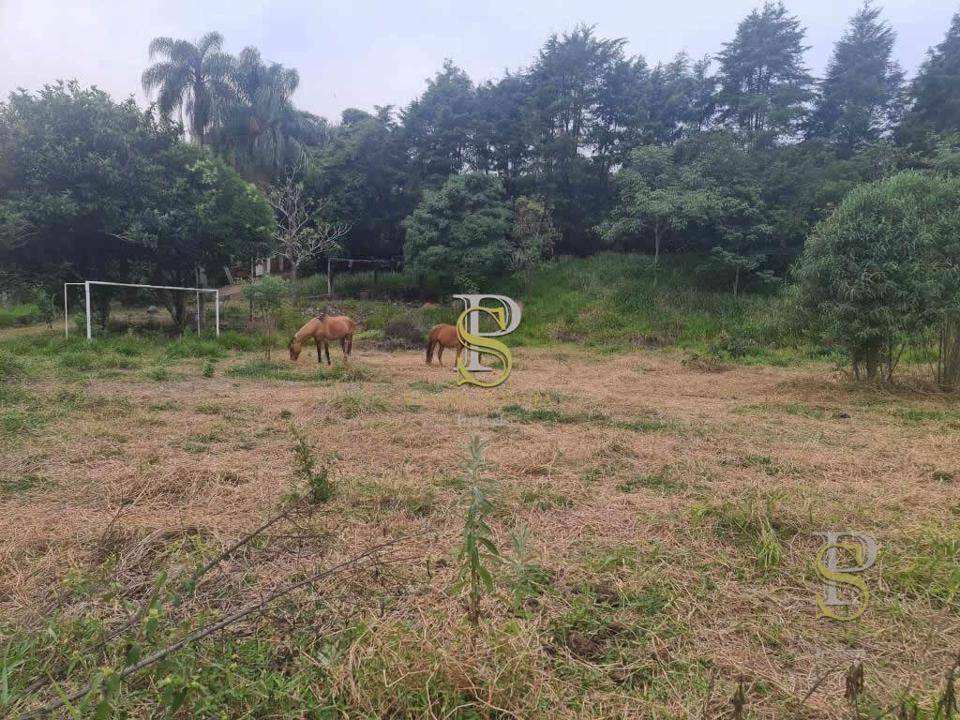 Terreno à venda, 11000M2 - Foto 5