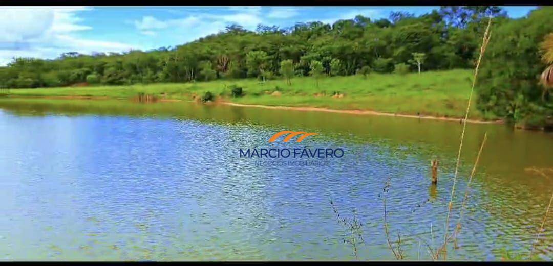 Fazenda-Sítio-Chácara, 980 hectares - Foto 3