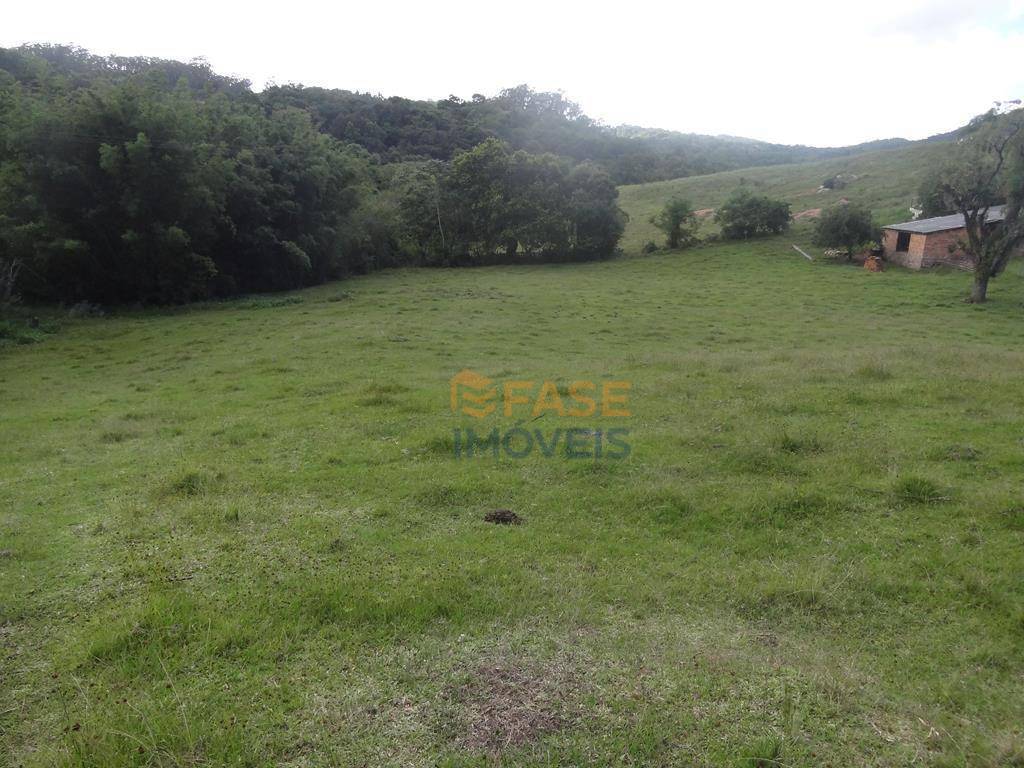 Terreno, 10 hectares - Foto 11