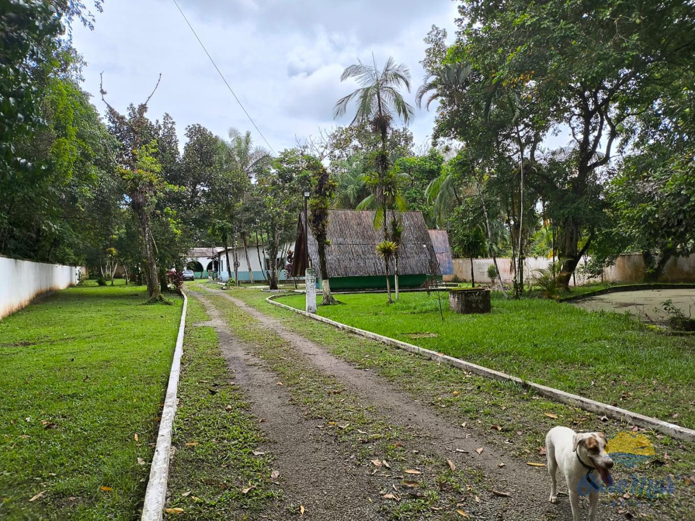 Fazenda à venda com 8 quartos, 465m² - Foto 4