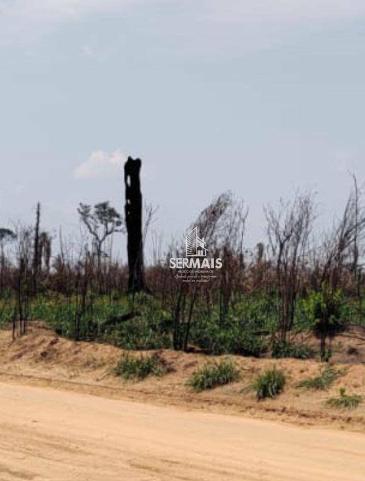 Fazenda-Sítio-Chácara, 300 hectares - Foto 2