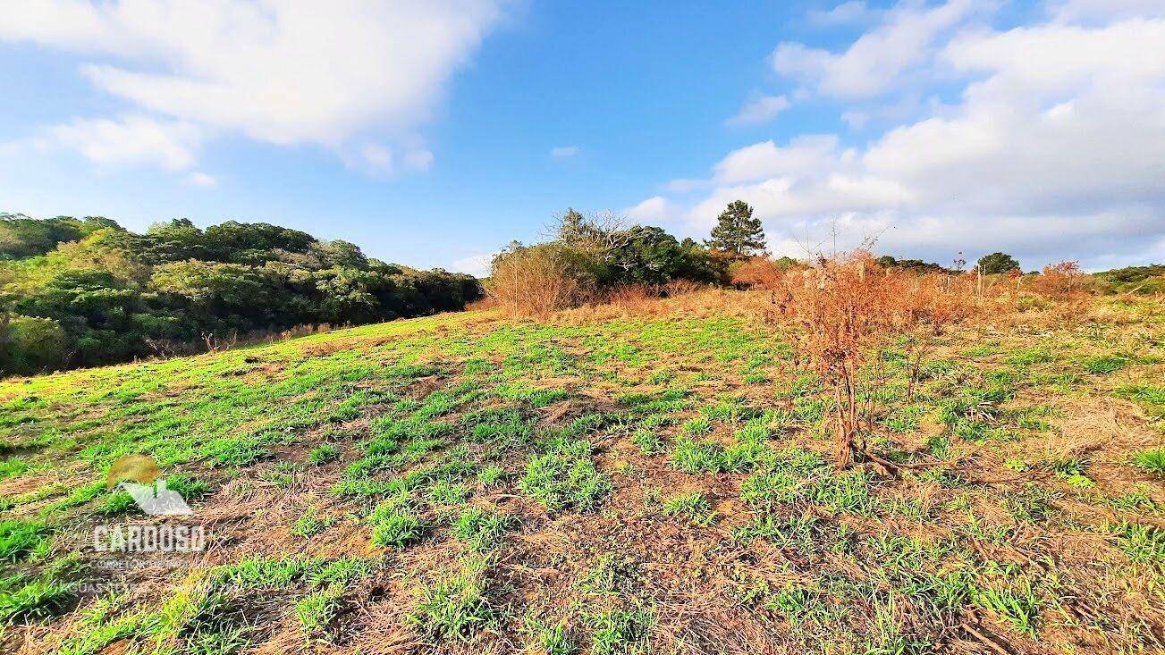 Sítio, 8 hectares - Foto 4