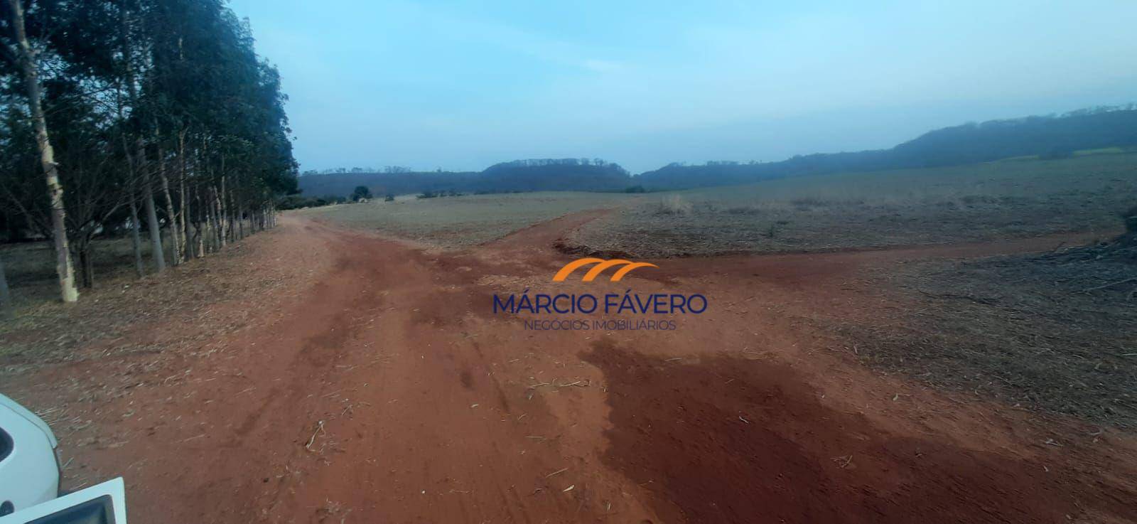 Fazenda-Sítio-Chácara, 203 hectares - Foto 3