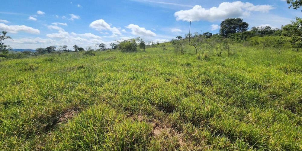 Fazenda à venda, 100m² - Foto 9