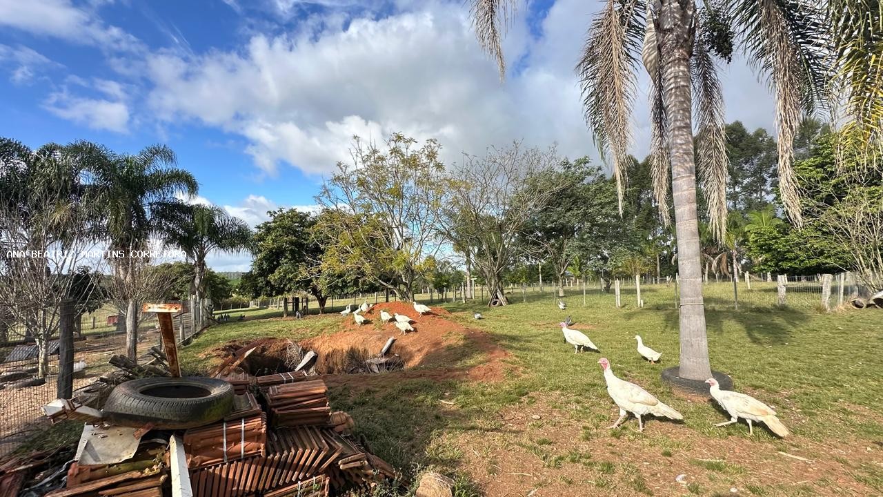 Sítio à venda com 2 quartos, 30000m² - Foto 21
