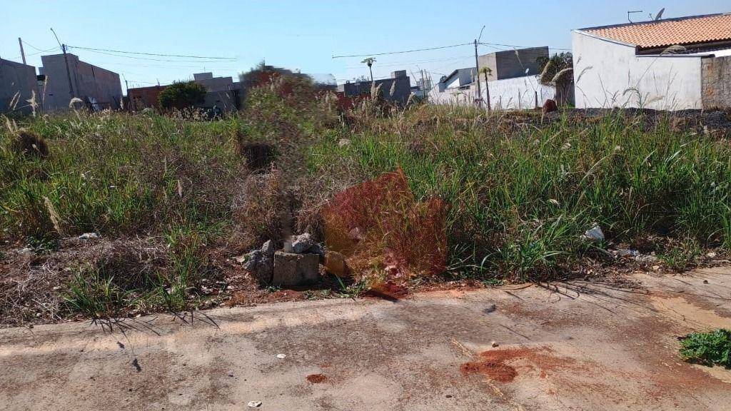 Terreno, 250 m² - Foto 14