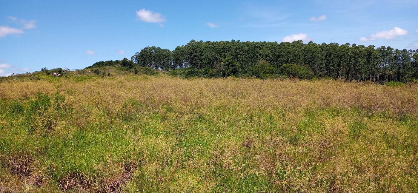 Loteamento e Condomínio à venda, 116000m² - Foto 10