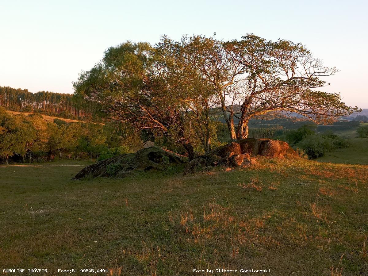 Sítio à venda com 3 quartos, 586000m² - Foto 27