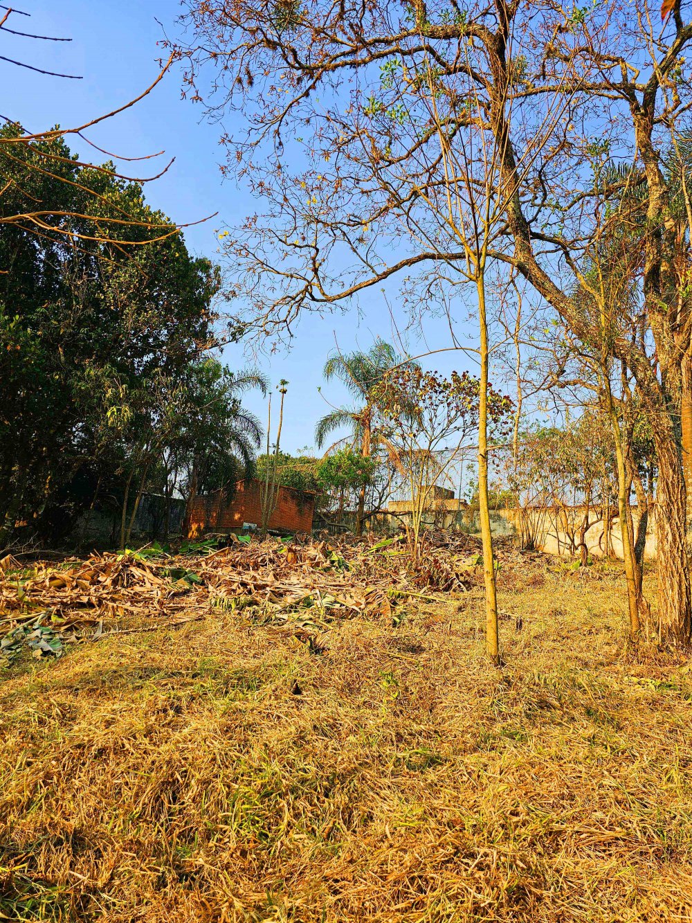 Terreno à venda, 1000m² - Foto 23