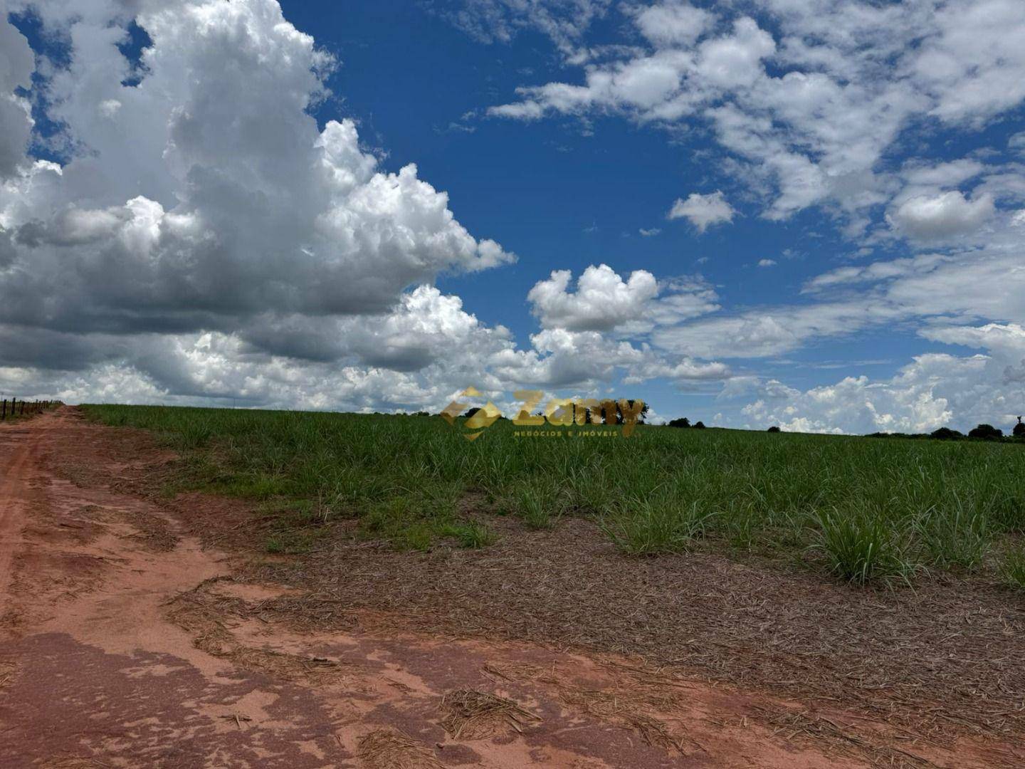 Sítio, 36 hectares - Foto 1