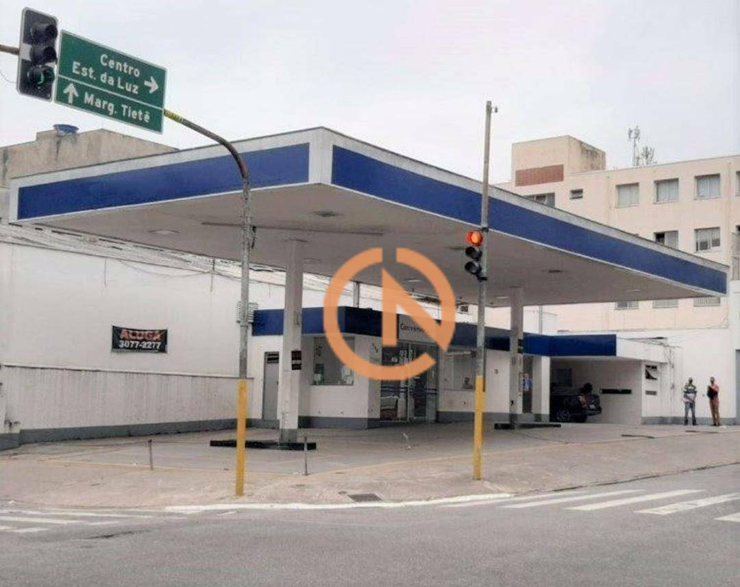 Terreno à venda e aluguel, 227m² - Foto 3