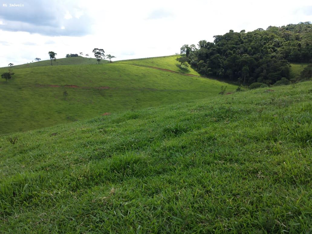 Fazenda à venda com 1 quarto, 120m² - Foto 5