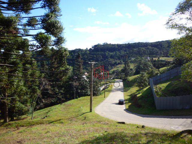 Loteamento e Condomínio, 825 m² - Foto 3