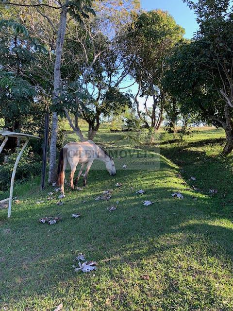 Chácara à venda, 14000m² - Foto 5