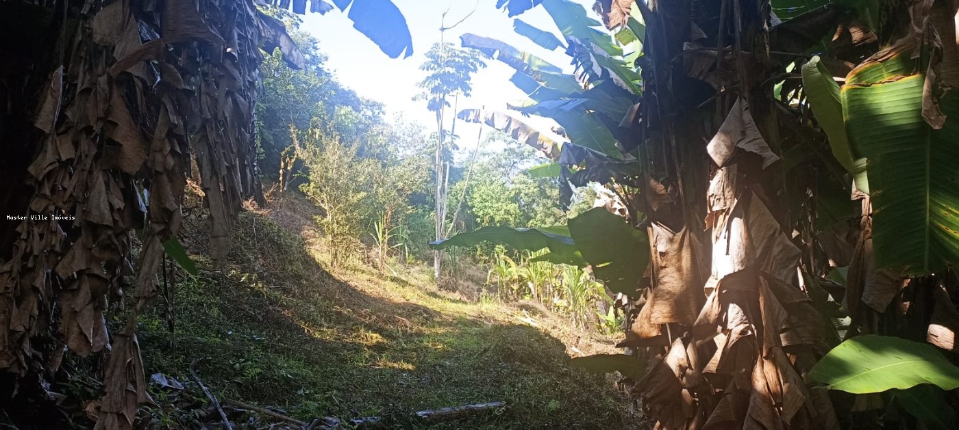 Terreno, 2 hectares - Foto 15