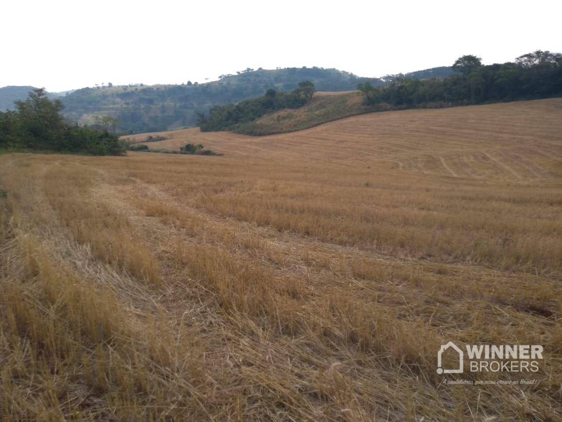 Fazenda à venda, 1379400M2 - Foto 28