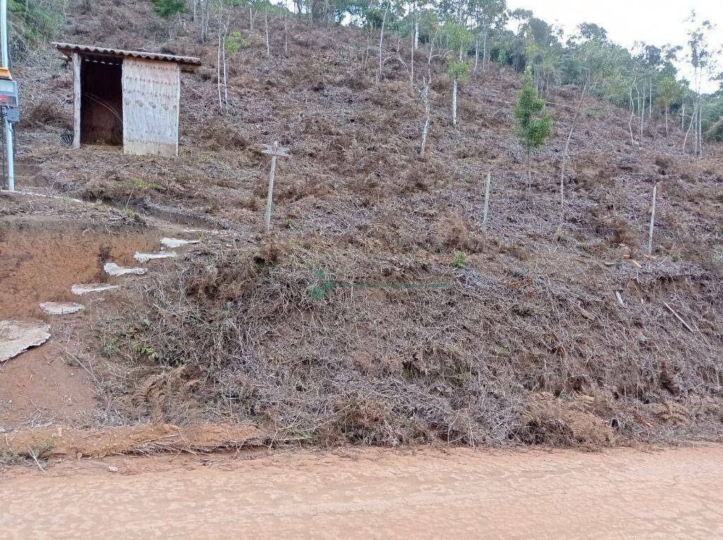 Terreno à venda, 1350M2 - Foto 3