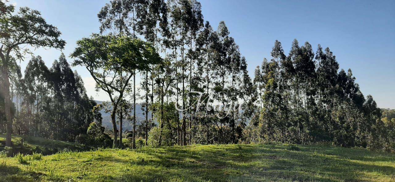 Terreno à venda, 140000M2 - Foto 7