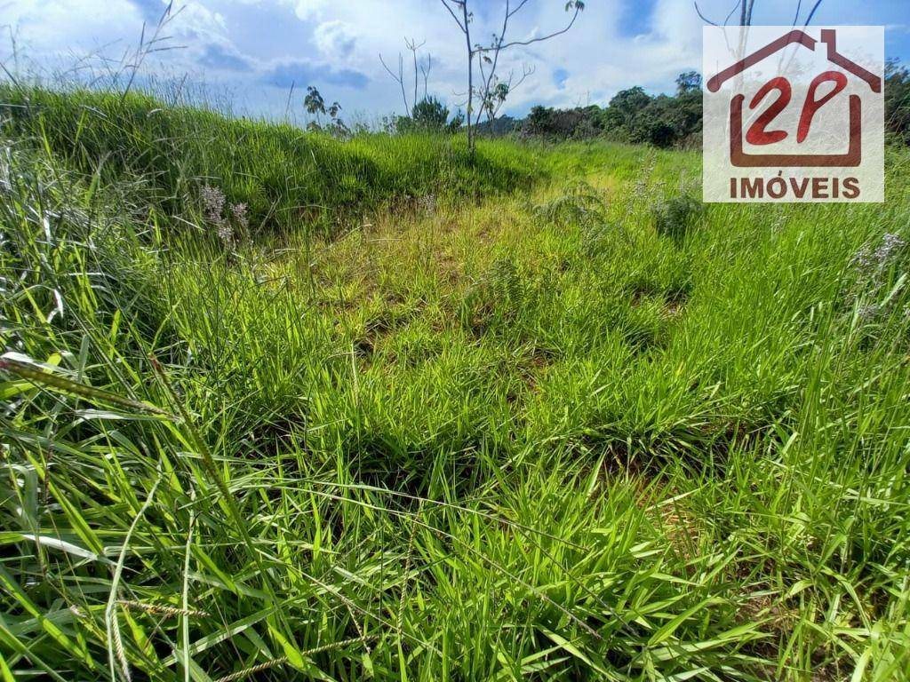 Terreno à venda, 10000M2 - Foto 15