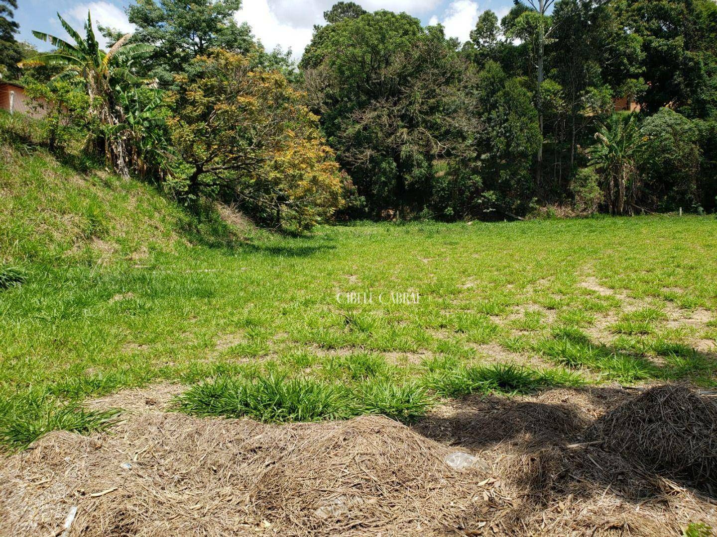 Terreno à venda, 1640M2 - Foto 4