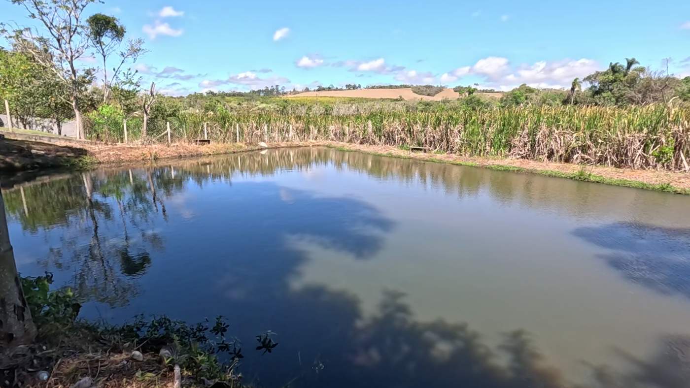 Chácara à venda com 2 quartos, 5900m² - Foto 42