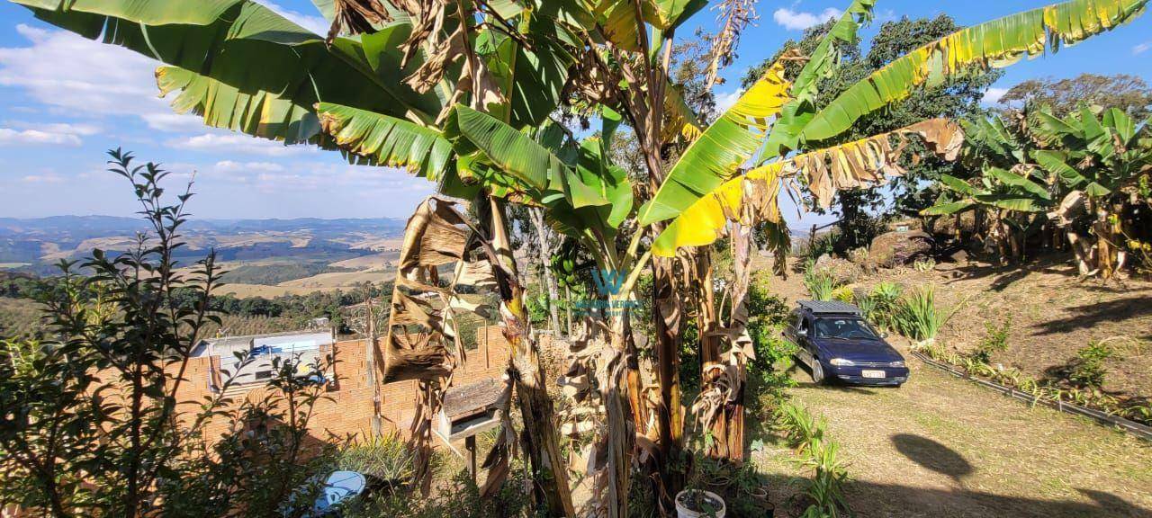 Sítio, 1000 m² - Foto 5