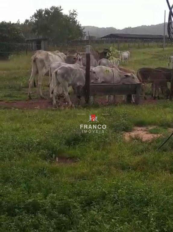 Fazenda à venda com 4 quartos, 126m² - Foto 2