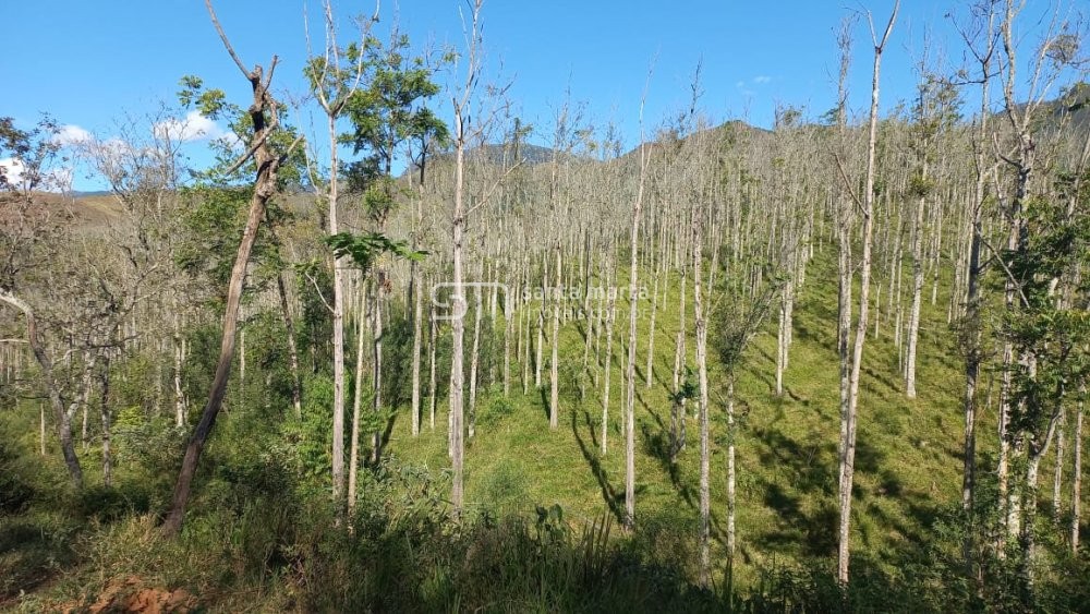 Fazenda à venda, 150m² - Foto 5