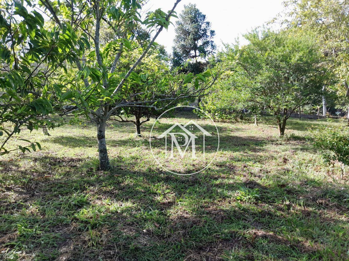 Chácara à venda com 1 quarto, 2800M2 - Foto 2