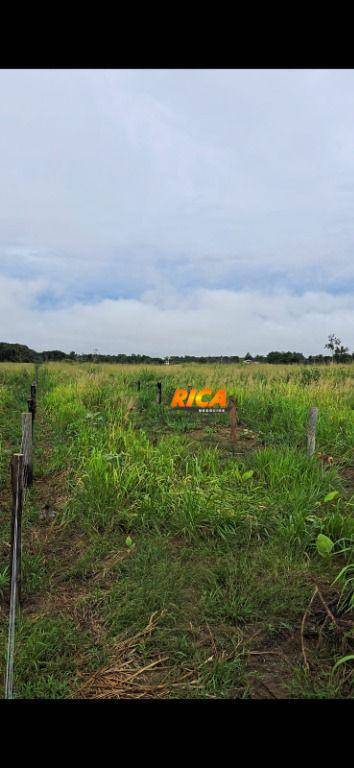 Fazenda à venda com 4 quartos, 2410000M2 - Foto 12