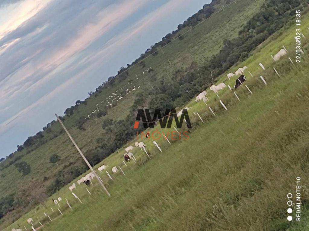 Fazenda à venda, 5856400M2 - Foto 21