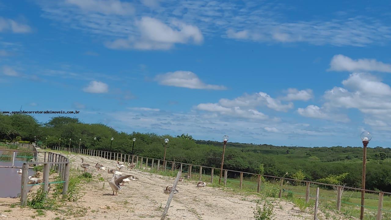 Terreno à venda, 750m² - Foto 8