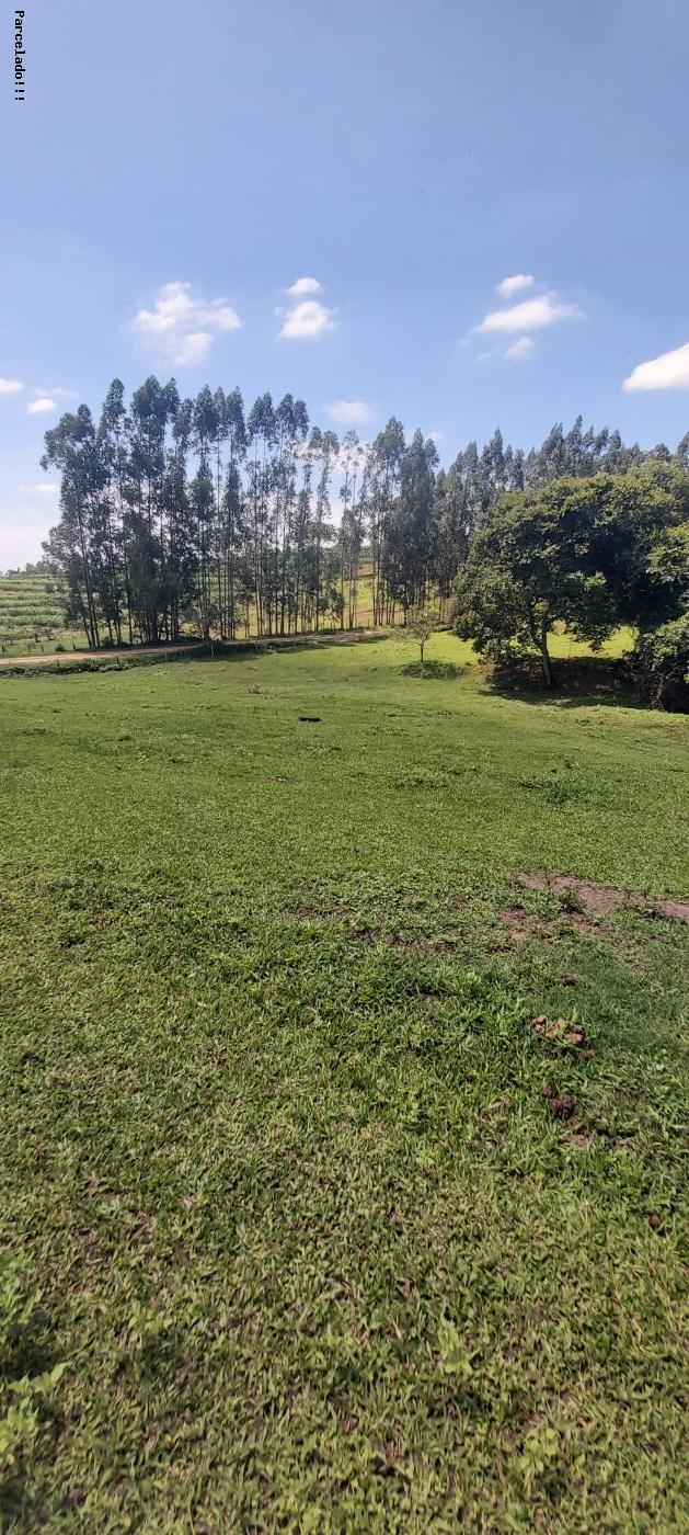 Fazenda à venda, 44000m² - Foto 4