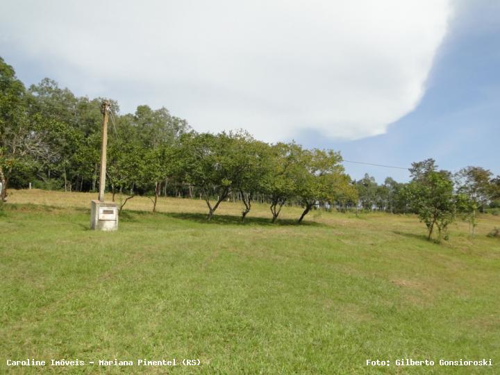 Fazenda à venda com 3 quartos, 24172m² - Foto 18