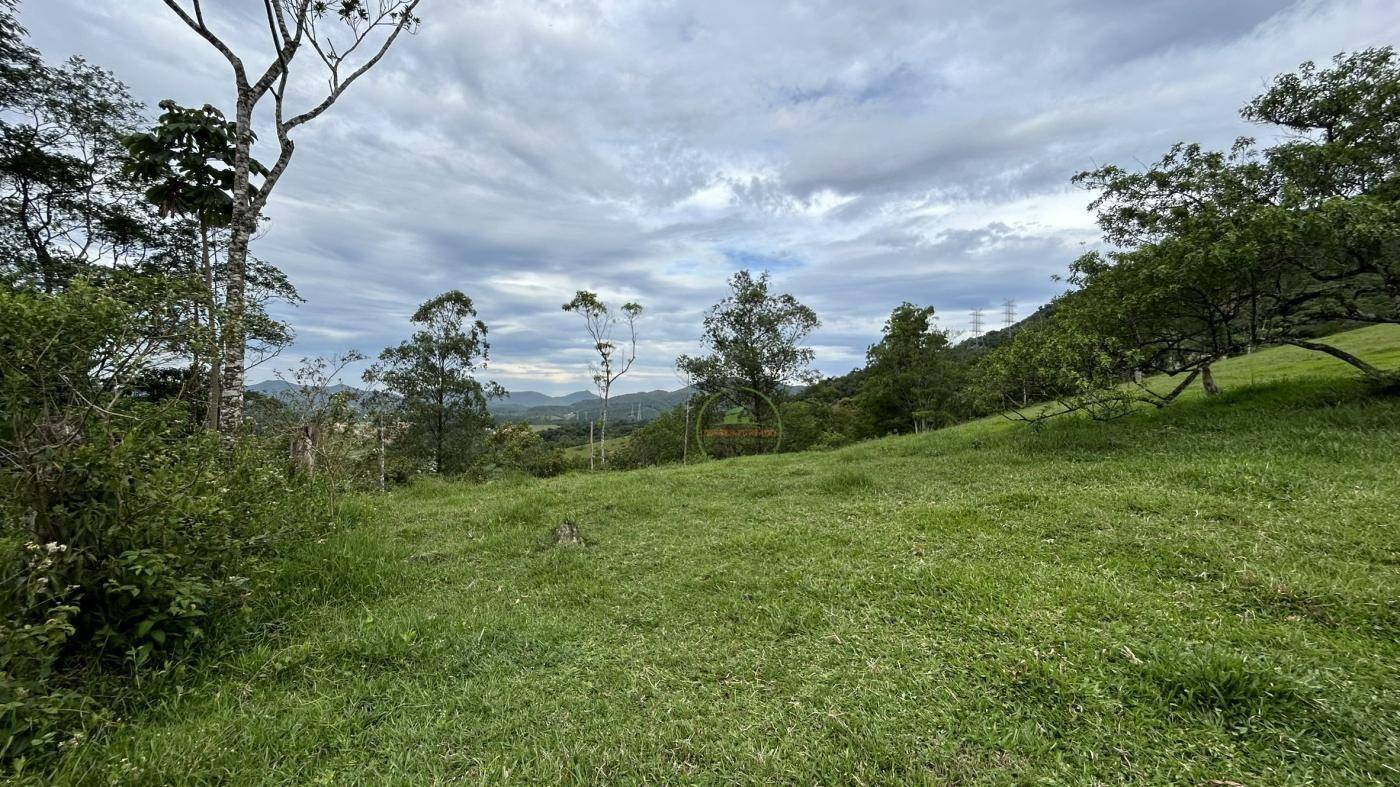 Terreno, 9 hectares - Foto 18