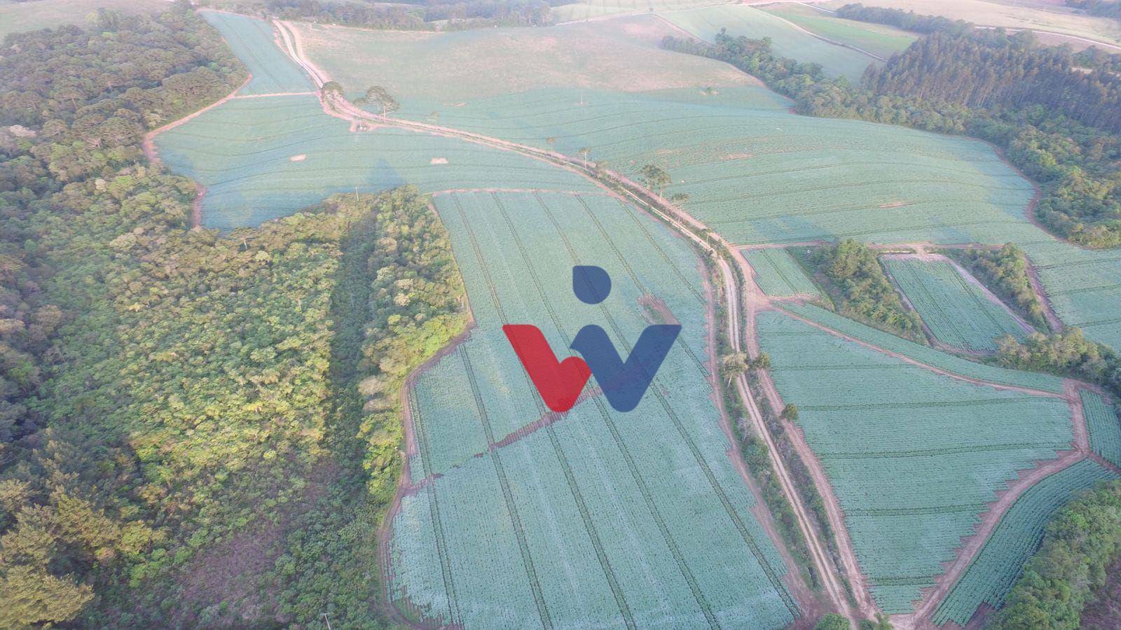 Fazenda à venda com 3 quartos, 1694000M2 - Foto 50