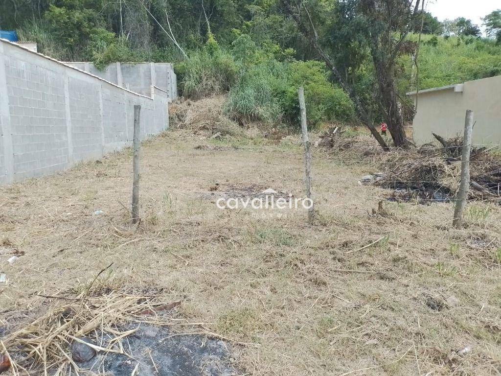 Terreno à venda, 360M2 - Foto 6